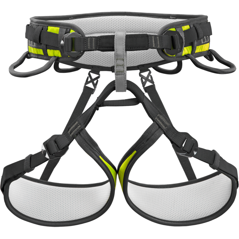 Ascent Pro
