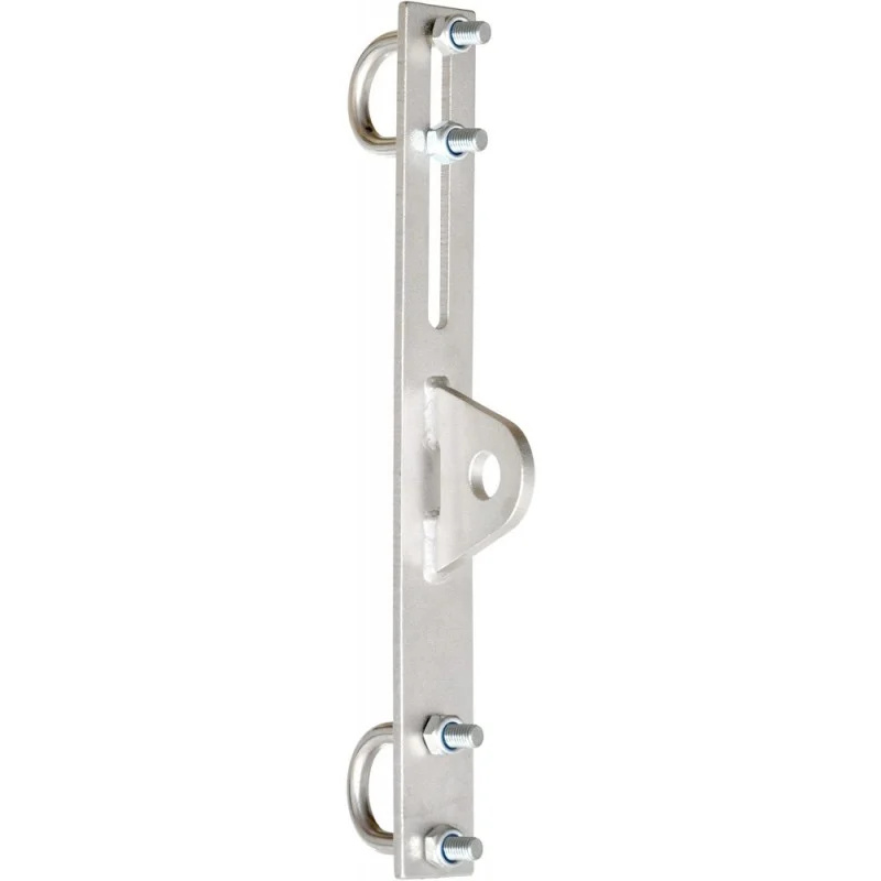 Extremity plate for two ladder rungs