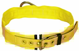 3M™ DBI-SALA® Belt 