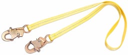 3M™ DBI-SALA® Positioning and Restraint Lanyard