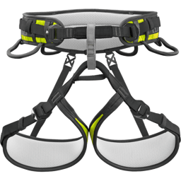 Ascent Pro