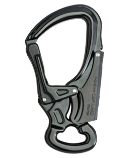 DSG TRITON